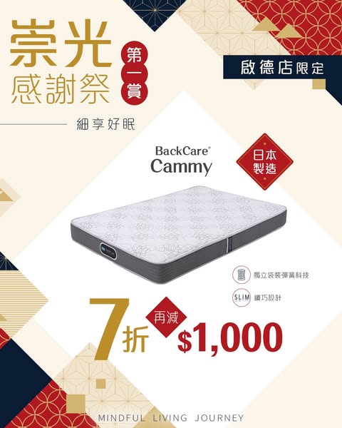 Simmons Hong Kong Backcare Cammy Mattress At 7 30 Off With Additiona