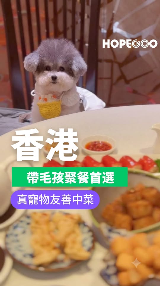Free 2-hour valet parking with spending over HK$800 at pet-friendly fine dining restaurant.