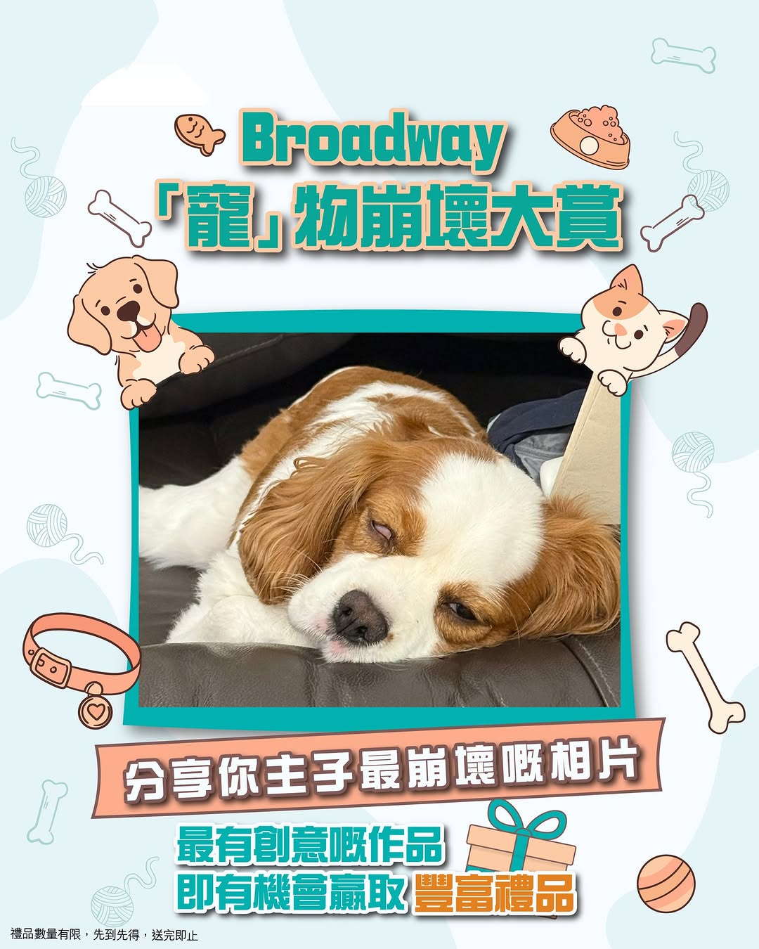 Broadway: Share your pet's funny photo on Facebook to win Adidas water bottle or backpack