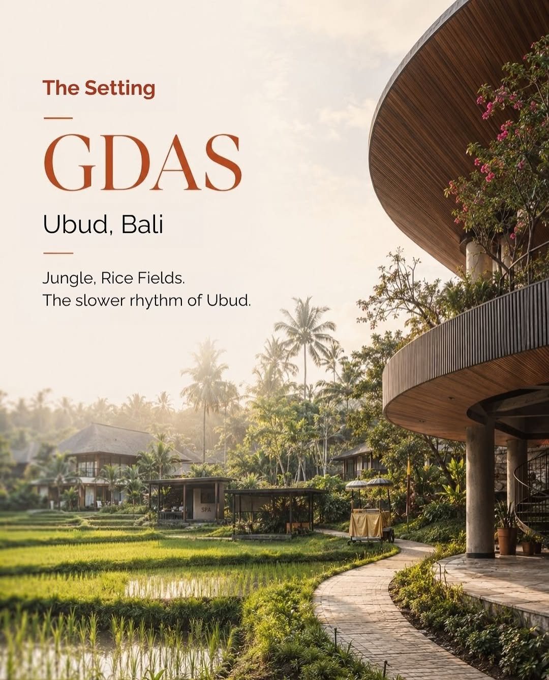 ikigai — Free live webinar with 3 exclusive bonuses for attendees. Bali retreat event October 1-5.