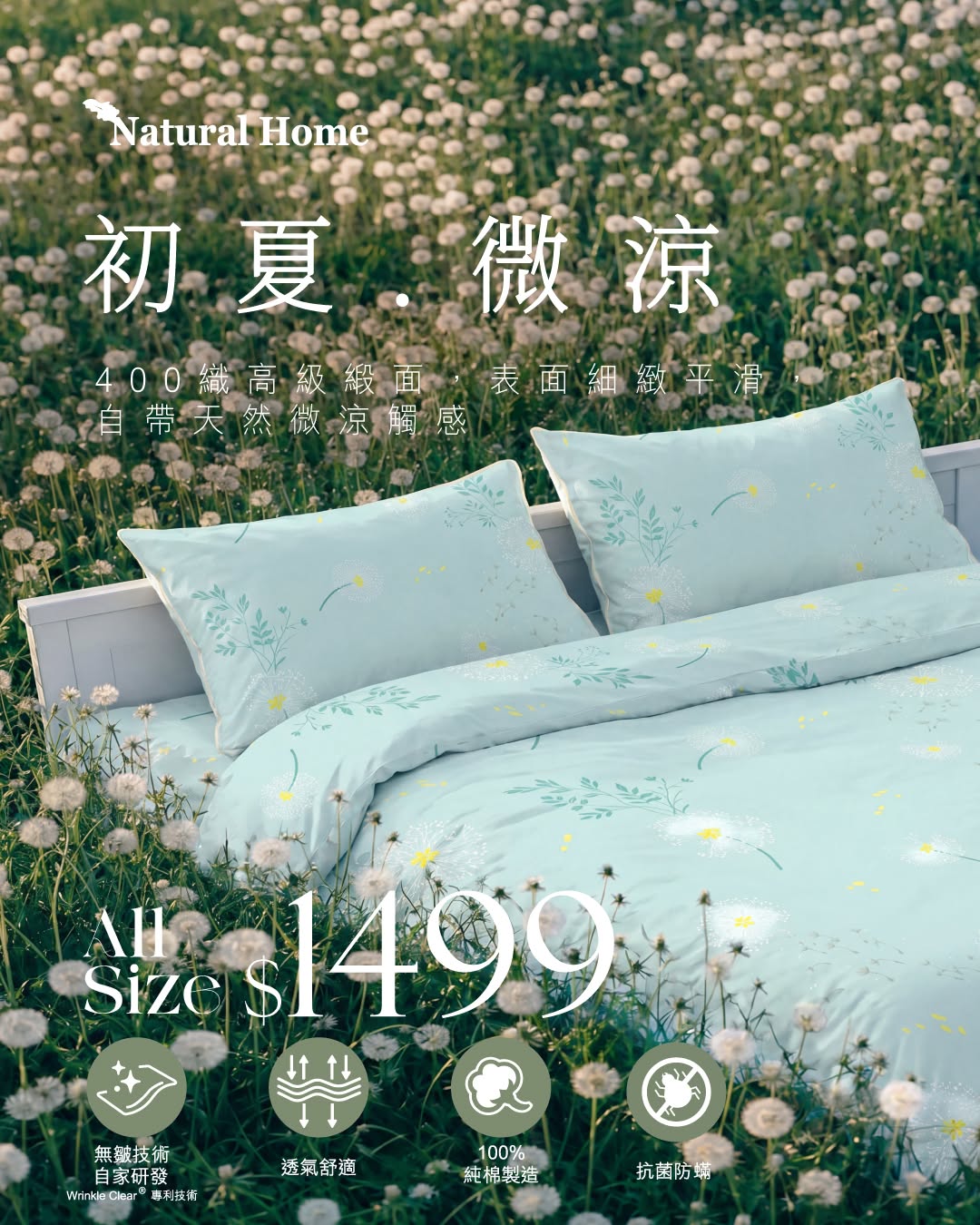 natural home promotion