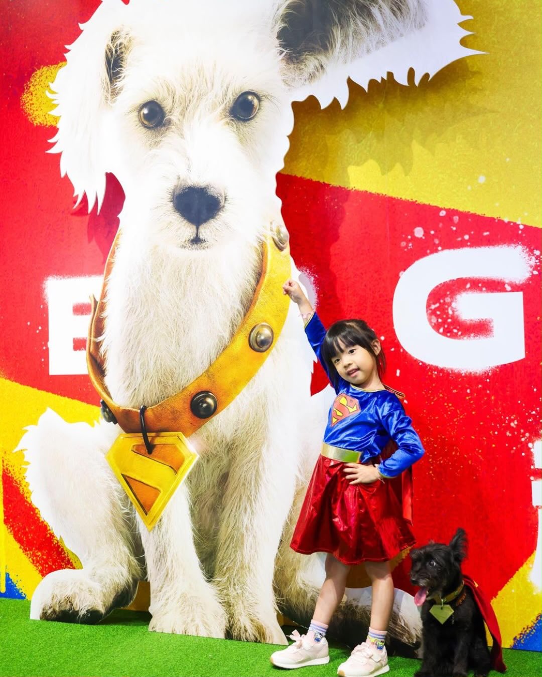 megabox — Attendees of the pet-friendly movie event received vouchers from multiple pet-friendly merchants, dining vouchers, and movie merchandise.