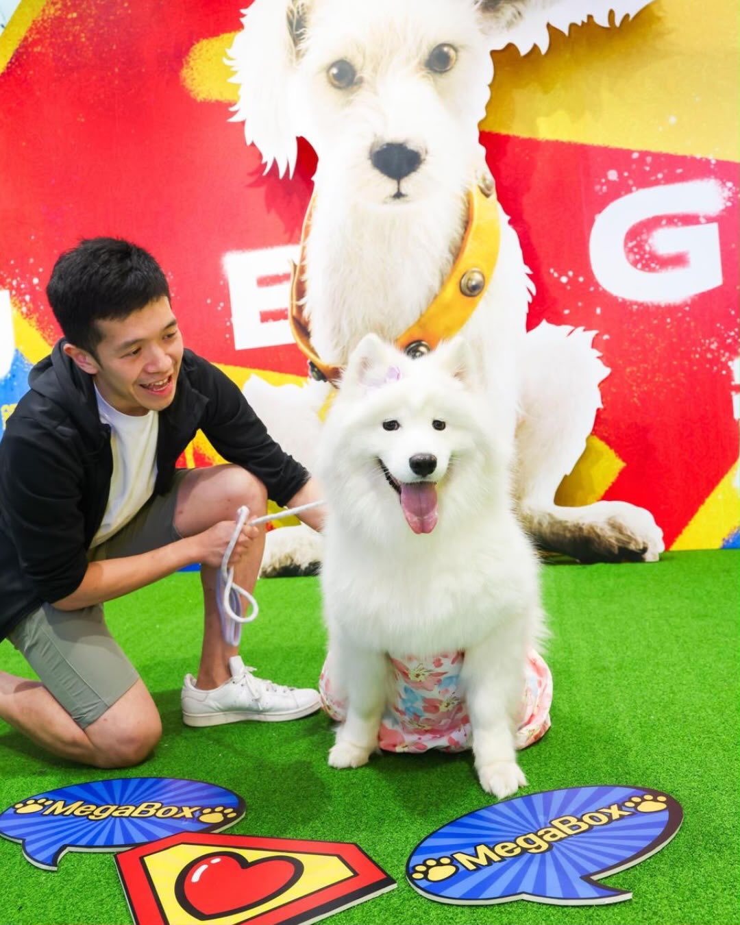 megabox — Attendees of the pet-friendly movie event received vouchers from multiple pet-friendly merchants, dining vouchers, and movie merchandise.