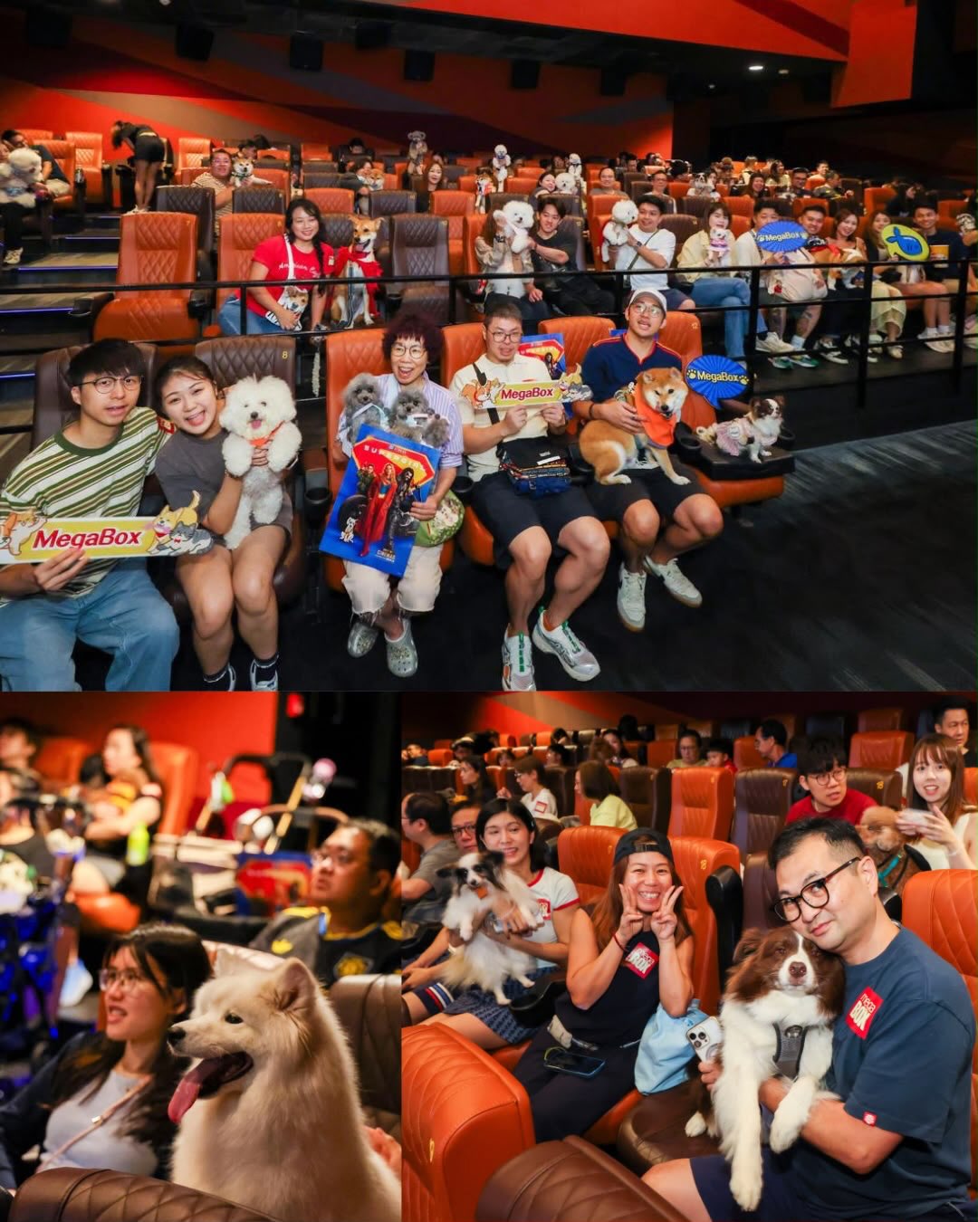 megabox — Attendees of the pet-friendly movie event received vouchers from multiple pet-friendly merchants, dining vouchers, and movie merchandise.