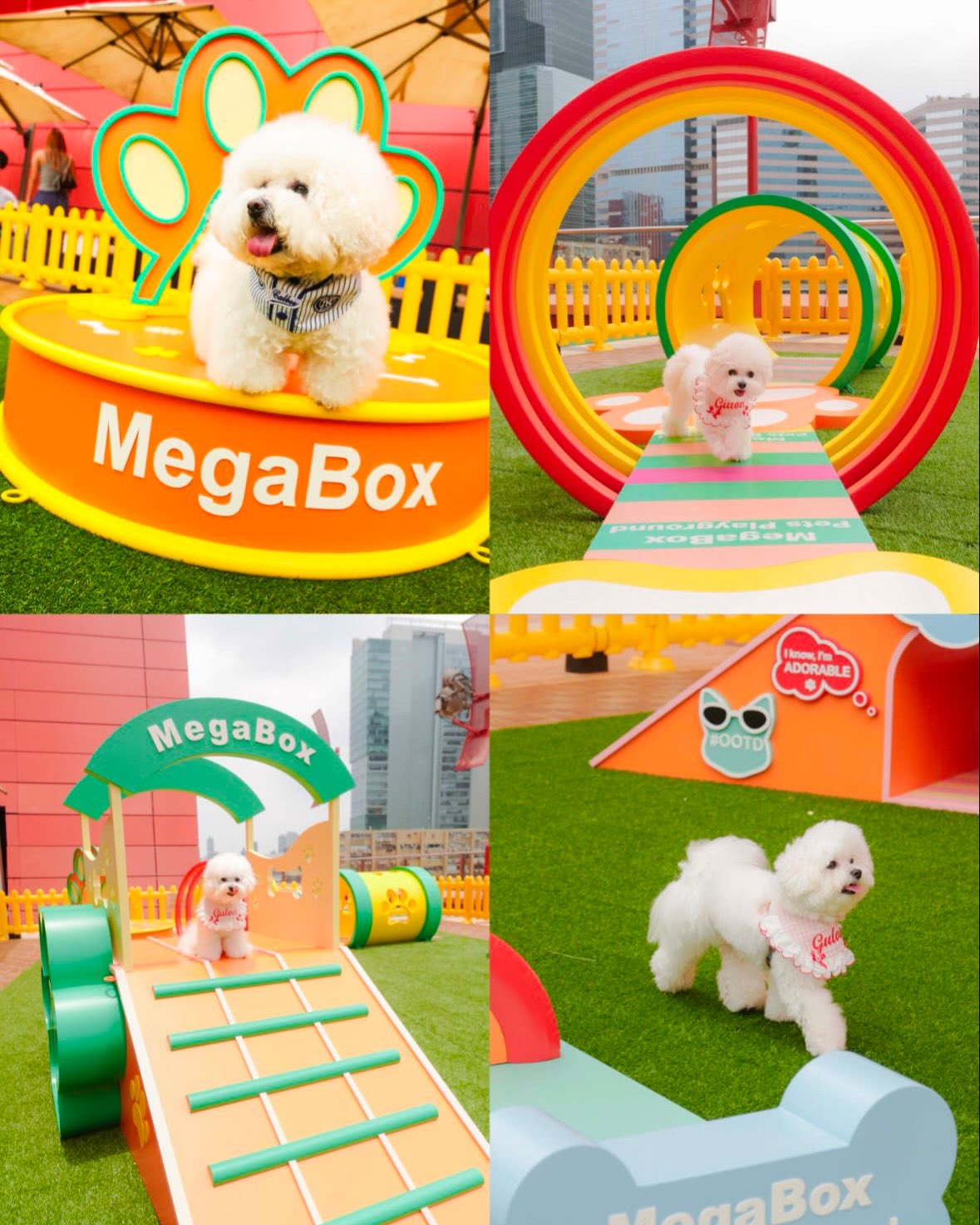 megabox — Attendees of the pet-friendly movie event received vouchers from multiple pet-friendly merchants, dining vouchers, and movie merchandise.