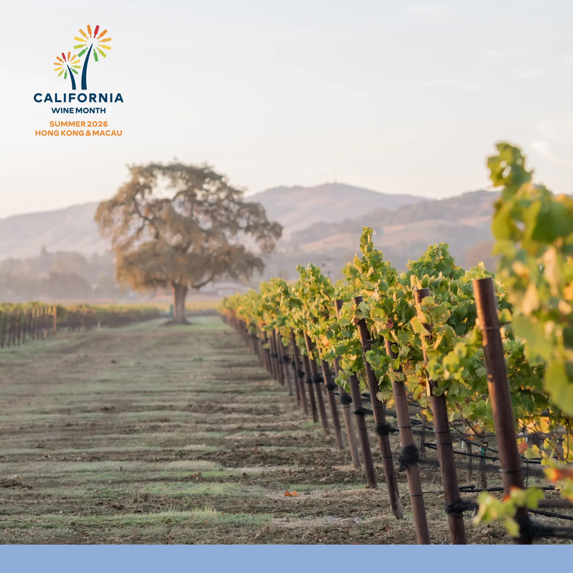 enoteca — Buy selected California wines: single bottle at 12% off (HK$1,584), or two bottles at 18% off (HK$1,476 each). Valid until July 31.