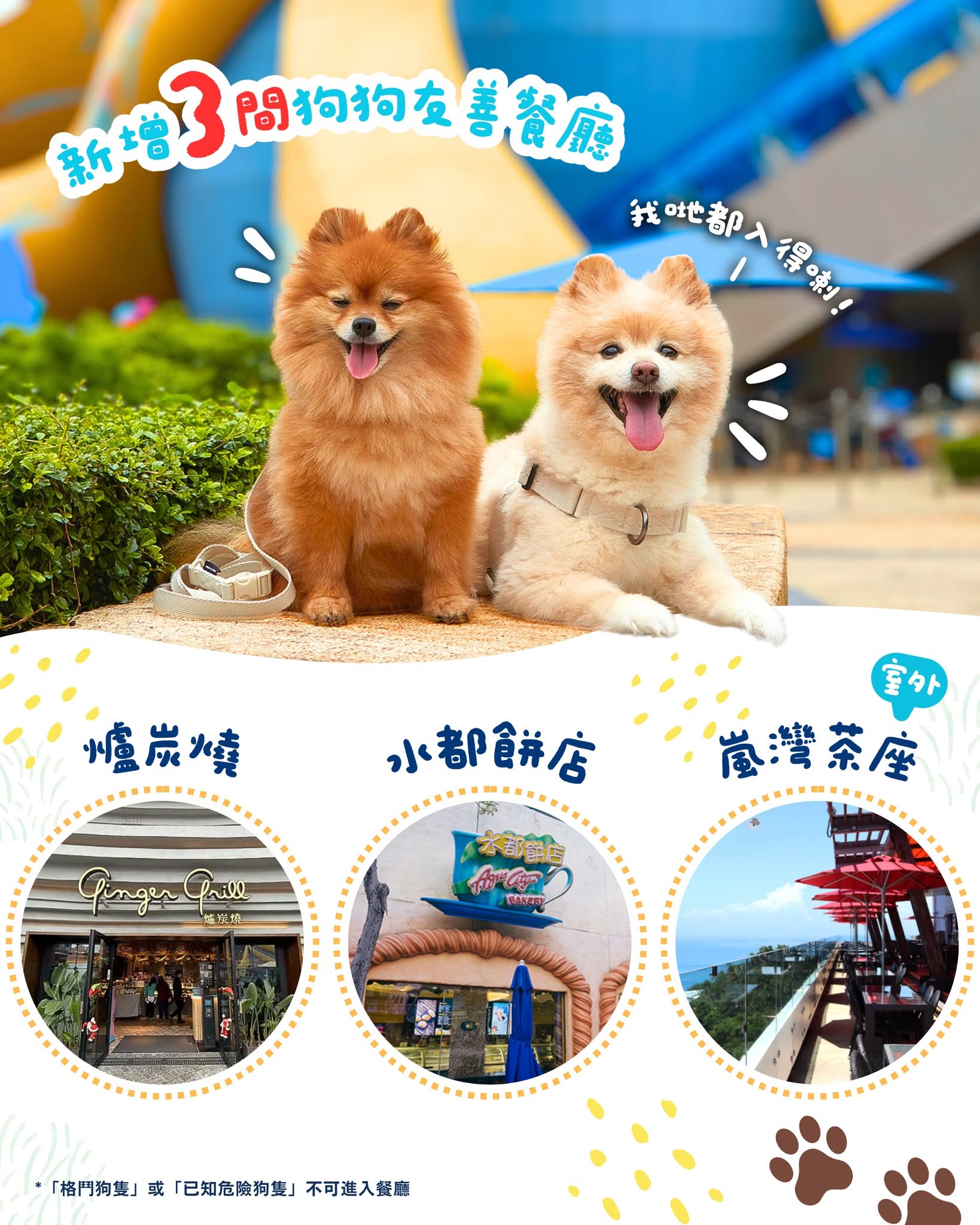 Ocean Park — Annual membership starting from HK$690 with extended member doggy day access (Monday-Friday) and new dog-friendly dining options.