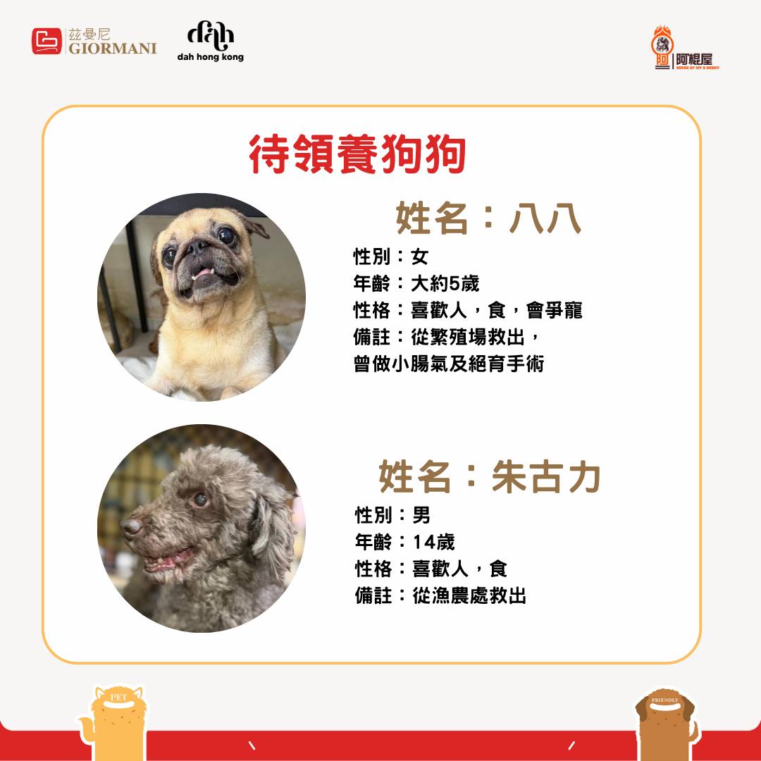 giormani — Register as GIORMANI member at adoption event on 7/18 to receive furniture discount voucher, buy-1-get-1 coffee coupon, and branded phone strap.