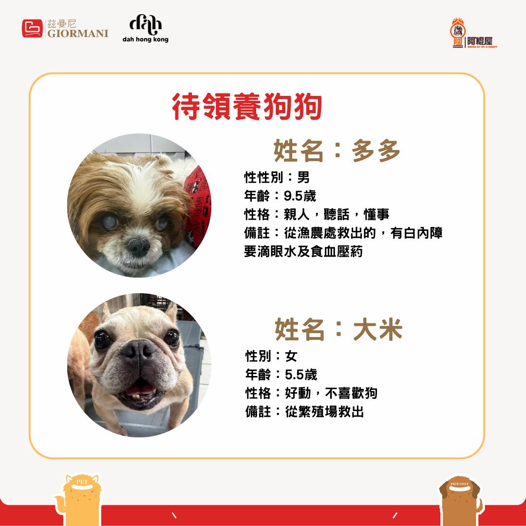 giormani — Register as GIORMANI member at adoption event on 7/18 to receive furniture discount voucher, buy-1-get-1 coffee coupon, and branded phone strap.