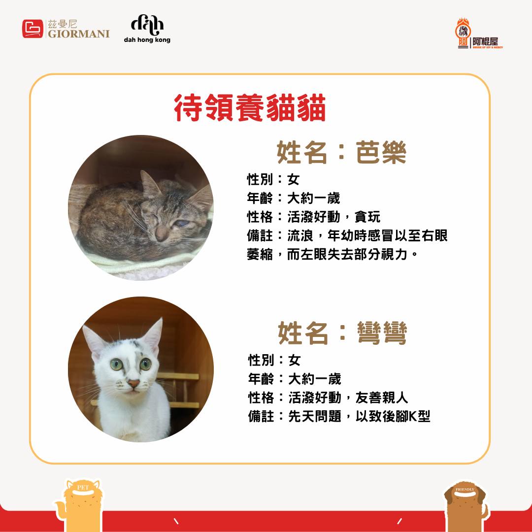 giormani — Register as GIORMANI member at adoption event on 7/18 to receive furniture discount voucher, buy-1-get-1 coffee coupon, and branded phone strap.
