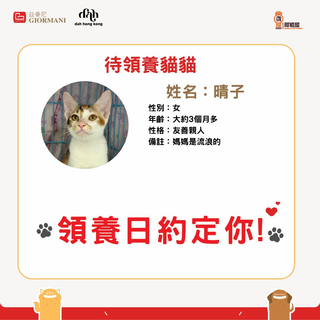 giormani — Register as GIORMANI member at adoption event on 7/18 to receive furniture discount voucher, buy-1-get-1 coffee coupon, and branded phone strap.