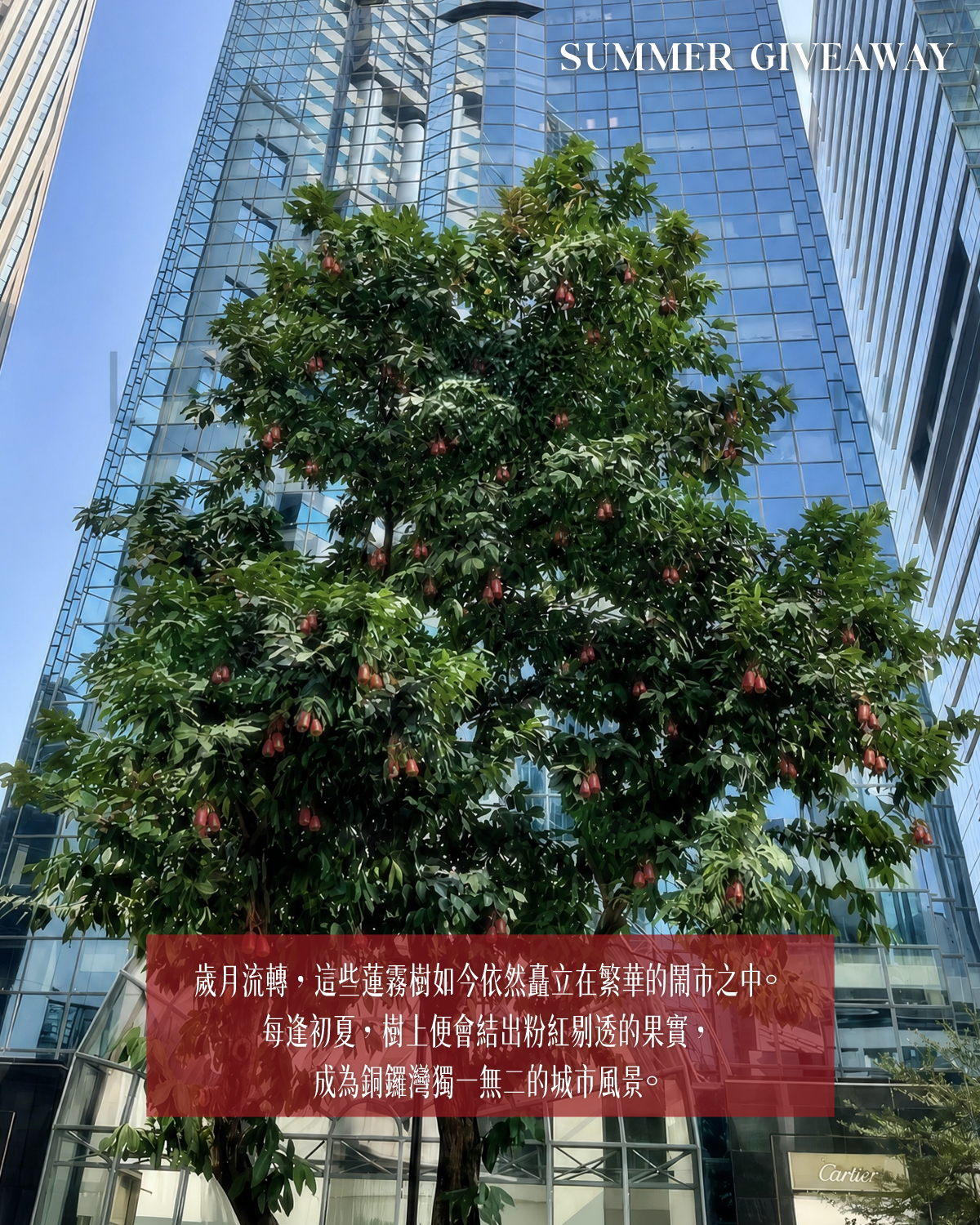 Lee Gardens — Enter the giveaway by following, liking, and commenting with creative ideas to win mystery summer gifts. Ten winners selected for most creative answers.