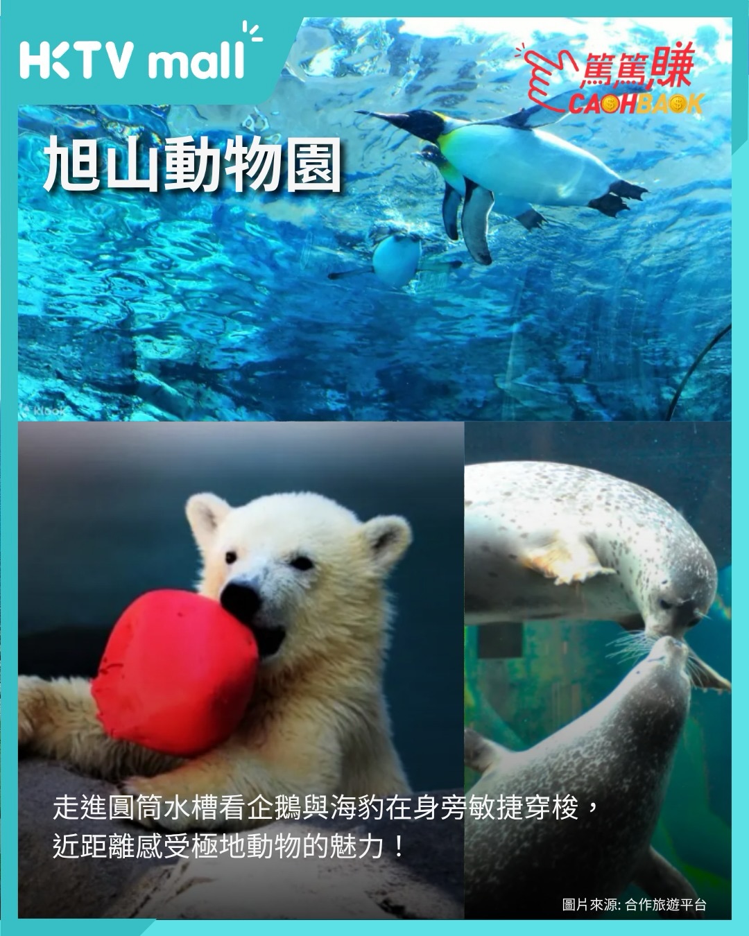 HKTVMall — Earn 5% Mall Dollar cashback on Klook tour bookings, plus up to 10% cashback on hotel and flight bookings via HKTVmall. New customers get HK$50 bonus with code WDRD39.