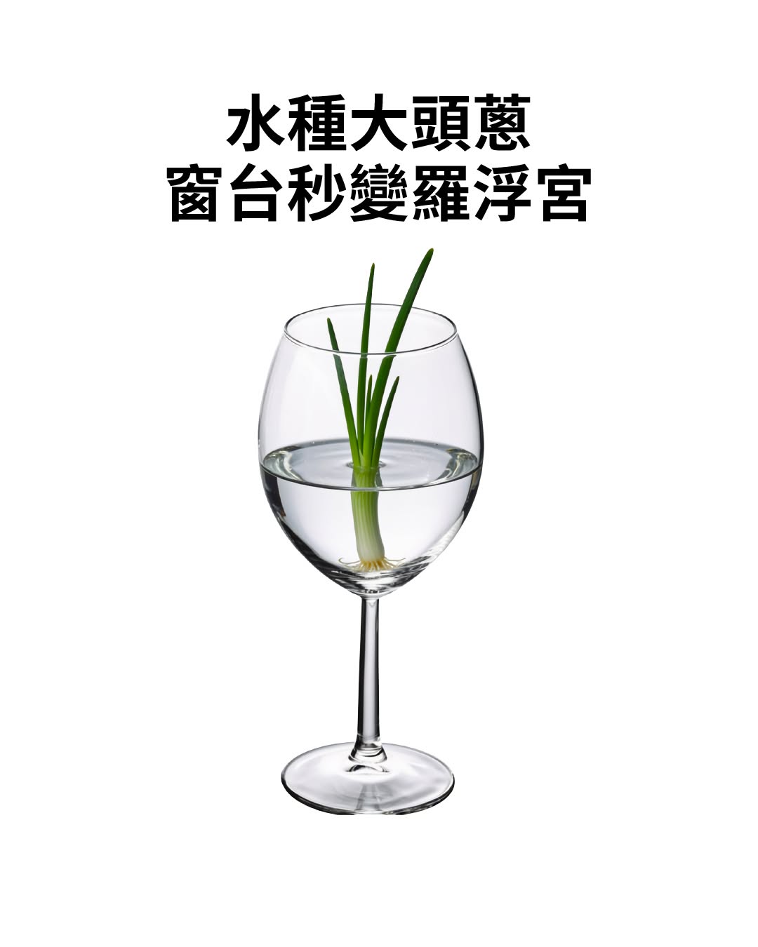 IKEA — SVALKA Wine Glass Set of 4 reduced to HK$9.9 (was HK$54.9) until 2 Aug. Buy 3+ sale items for extra 5% off, or 5+ for extra 10% off.