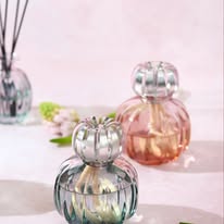 lampe berger — Buy 3 get 1 free on 1000ML home fragrance oils with free mixing options.