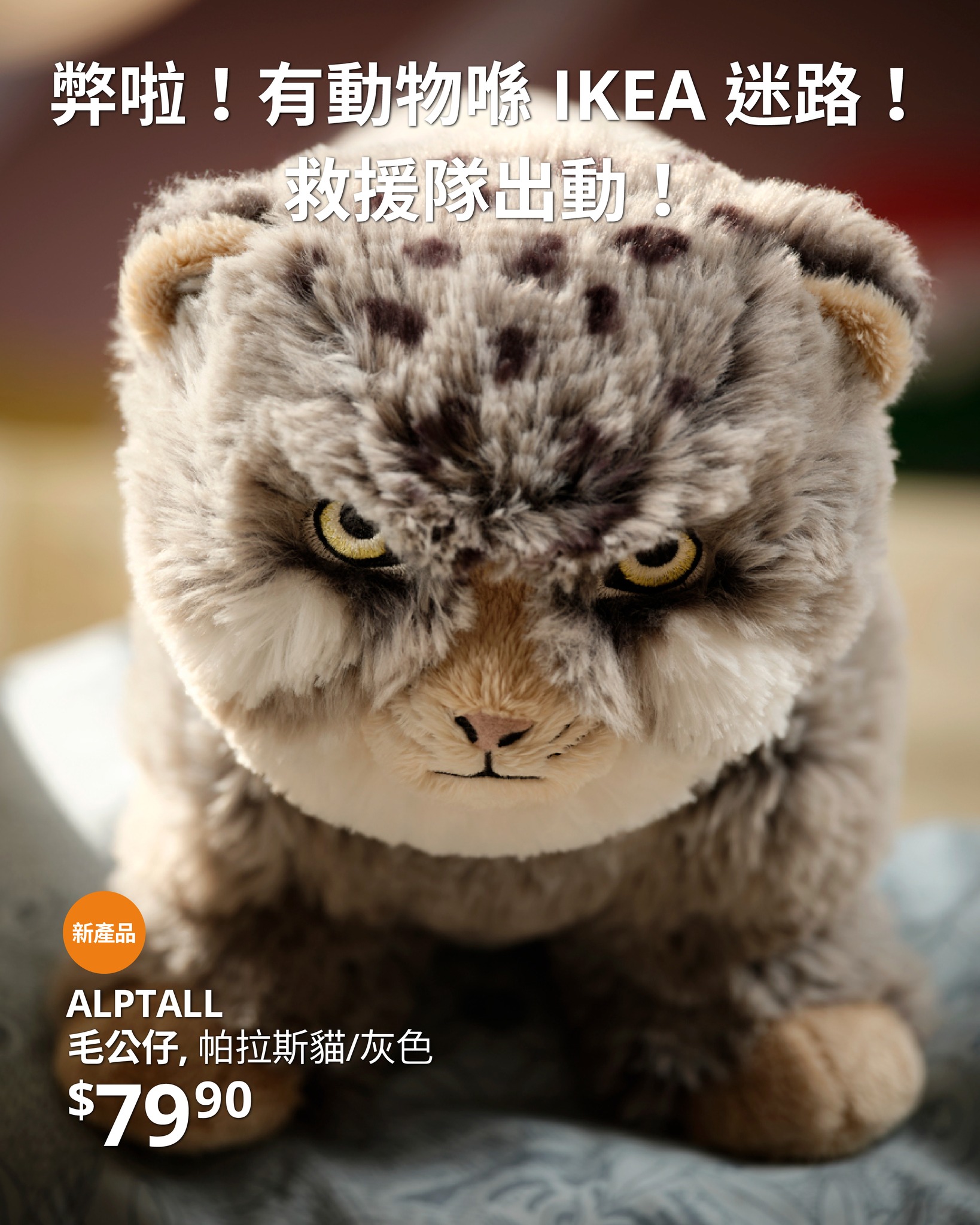 yuu會員由即日起至28/10購買ALPTALL系列享9折優惠，即享10%折扣。