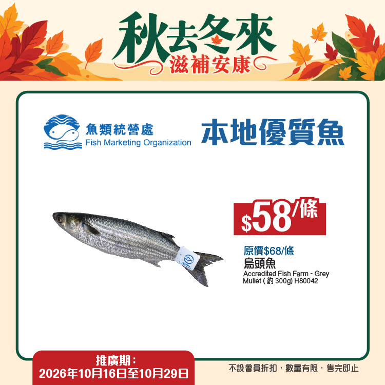 Green Dot Dot — Multiple bundle deals: buy 2 soups get 1 free, collagen peptide 2-box bundle HK$130 (avg HK$65/box), quinoa 3-pack HK$110, fish from HK$58.