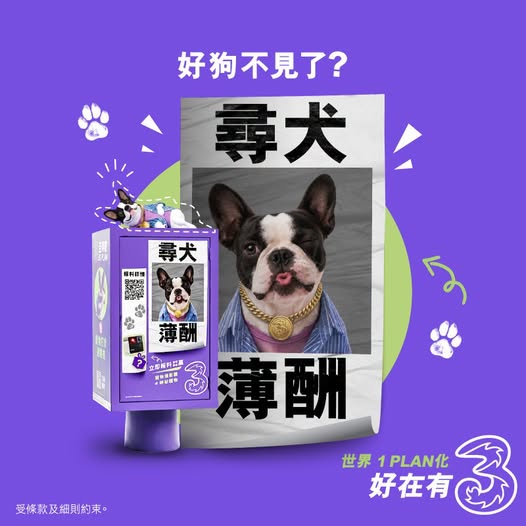 3HK: Win free pet camera or cat litter by suggesting creative methods to find lost…
