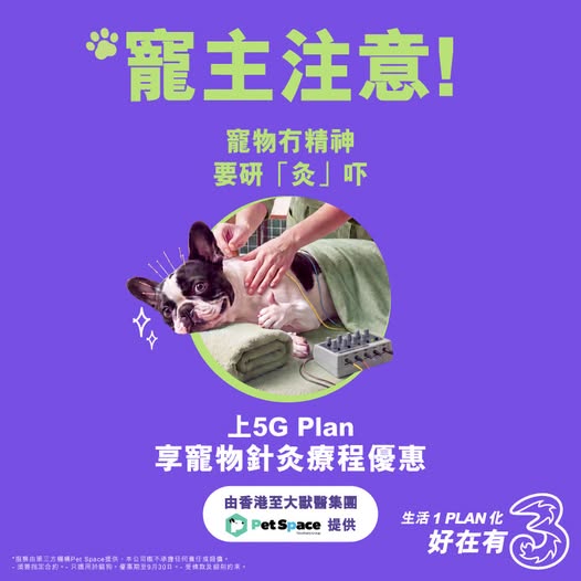 3HK: New 5G Plan includes pet acupuncture therapy discount, pet care services at 20%…