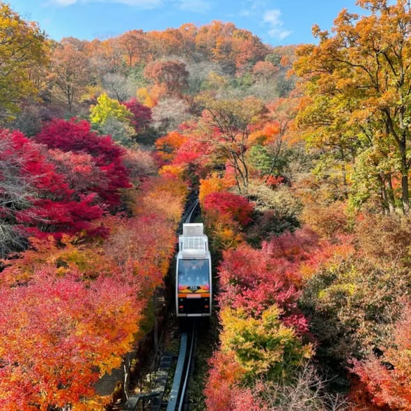 Trip.com — Spend HK$101 or more on Korean activities and get HK$100 off, approximately 50% discount on popular attractions and day tours.