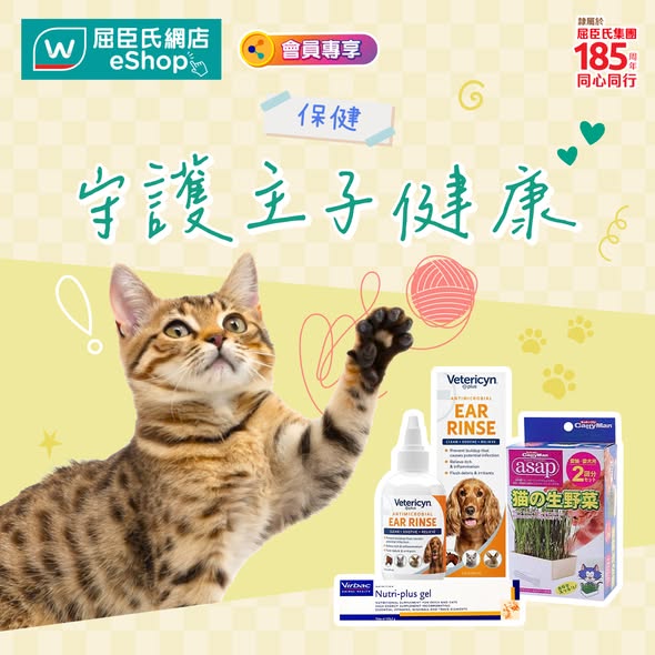 購買任何Meow9產品滿$500即減$50，購滿$350即免運費。